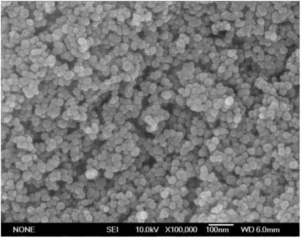 Rapid preparation method of screen printing paste for dye-sensitized solar cell photoanode