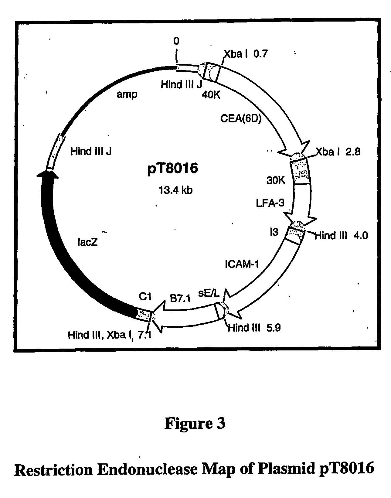 System for treating and preventing breast cancer