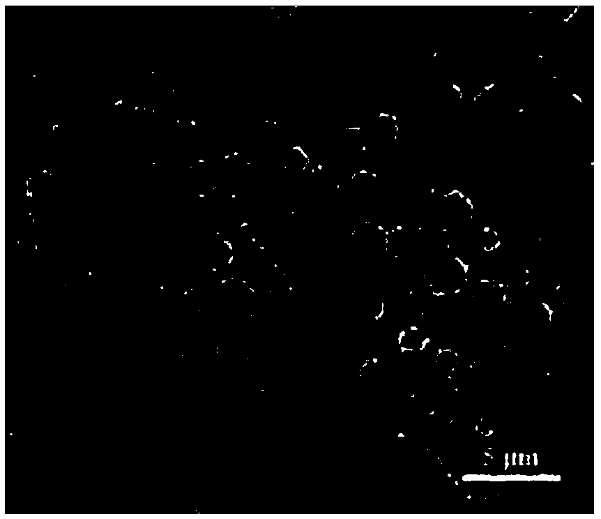 Preparation method of flower-shaped nano-silver powder self-assembly structure