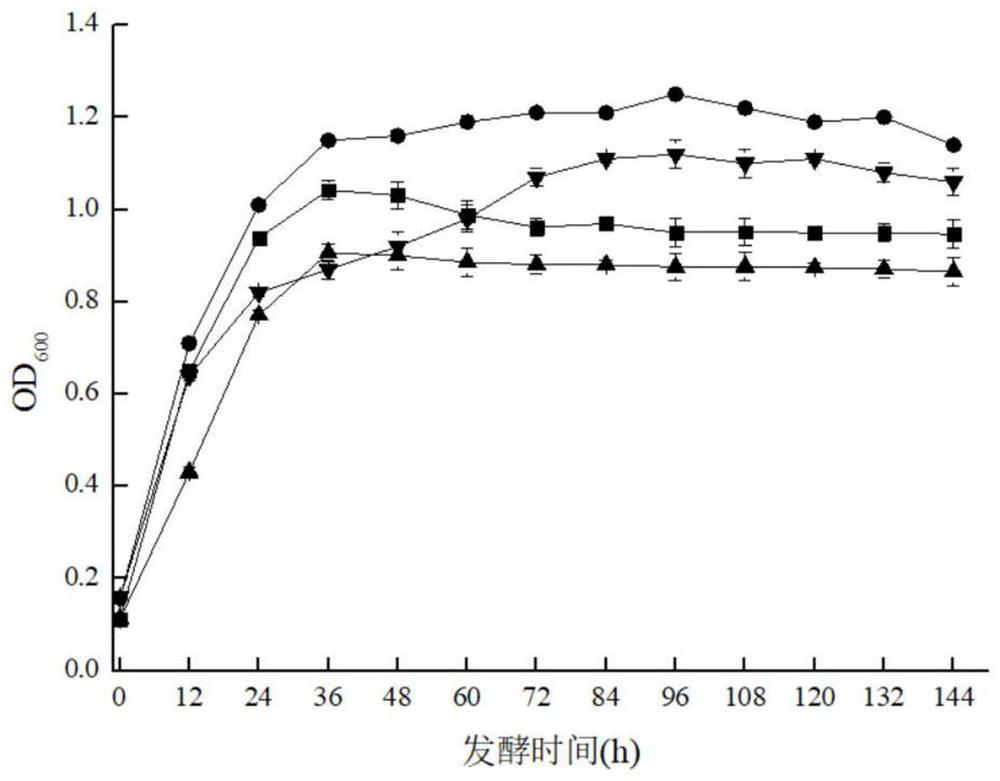 A kind of Saccharomyces cerevisiae and method for improving the production of γ-aminobutyric acid by Saccharomyces cerevisiae