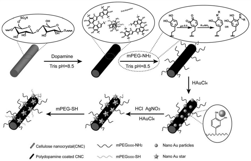 Organic-inorganic hybrid multifunctional biological material based on nanocellulose crystals and preparation method and application thereof