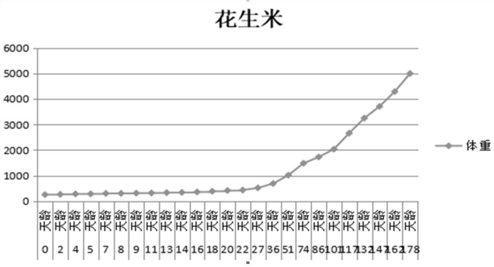 Feed for termitarium, preparation method of feed and method for feeding termitarium by using feed