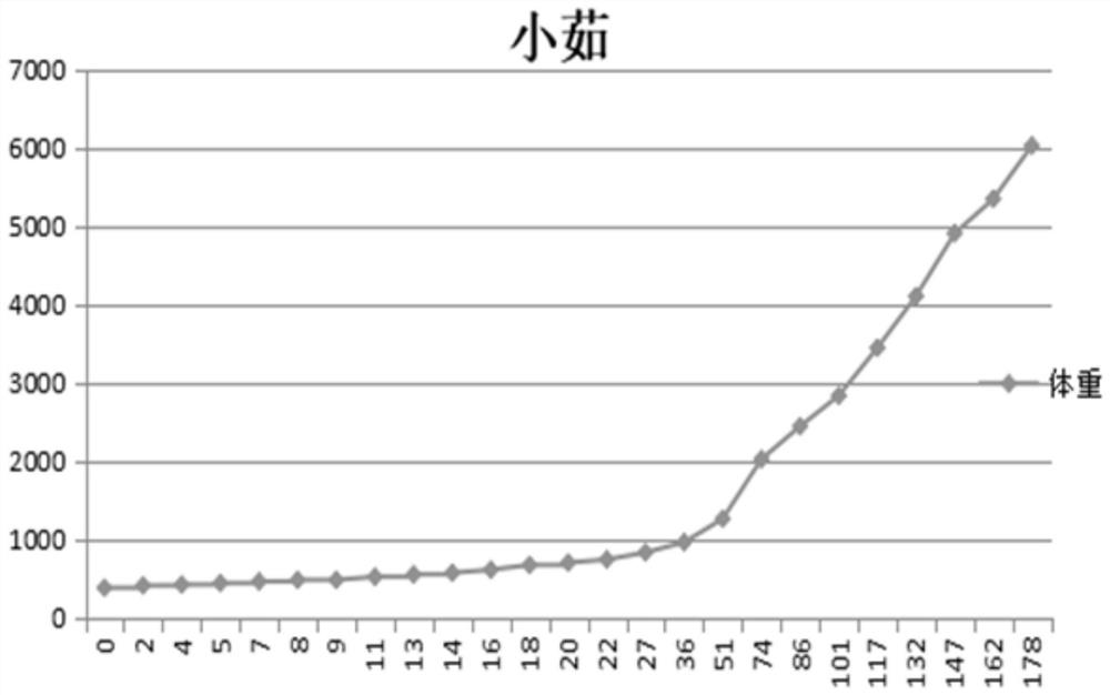 Feed for termitarium, preparation method of feed and method for feeding termitarium by using feed