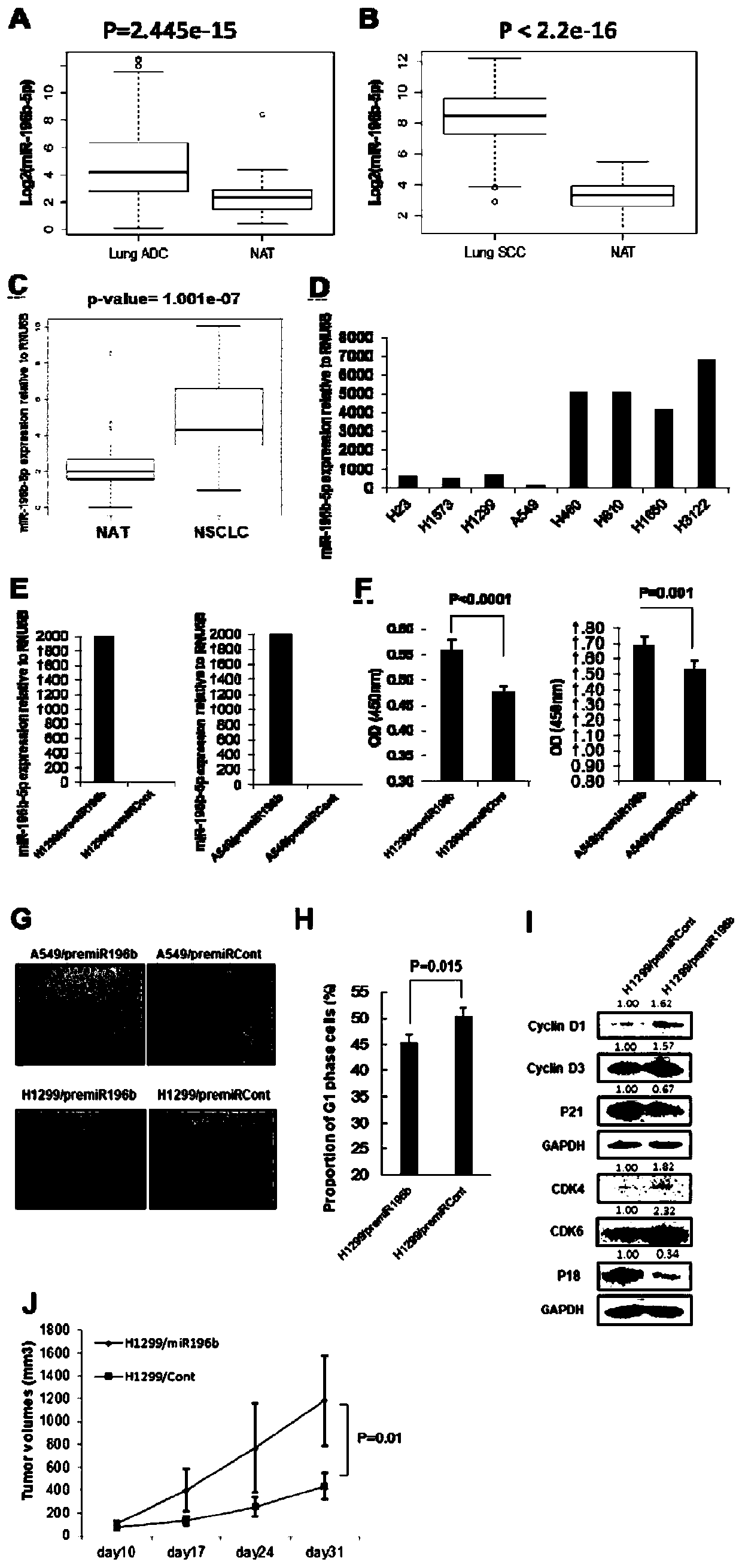 Application of miRNA-196b as non-small cell lung cancer molecular marker and treatment target
