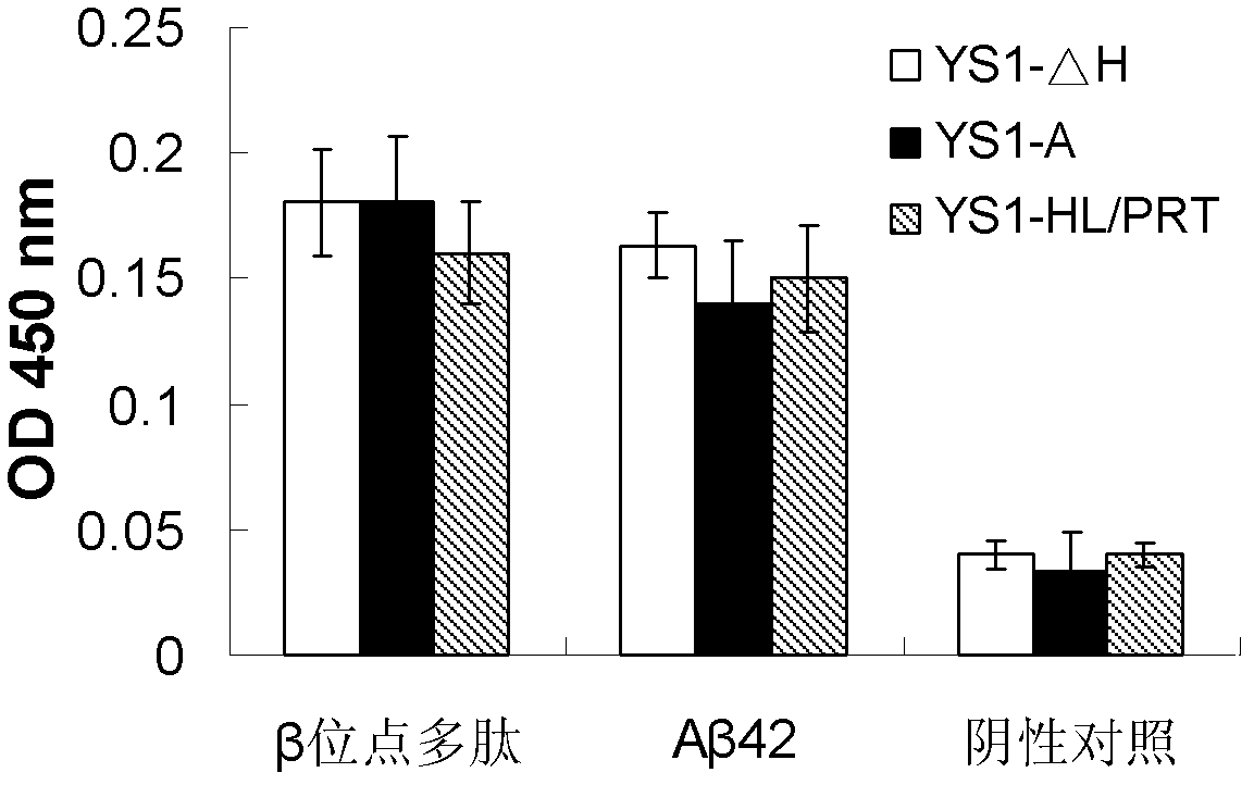 Polypeptide capable of inhibiting beta-secretase digestion effect and application thereof