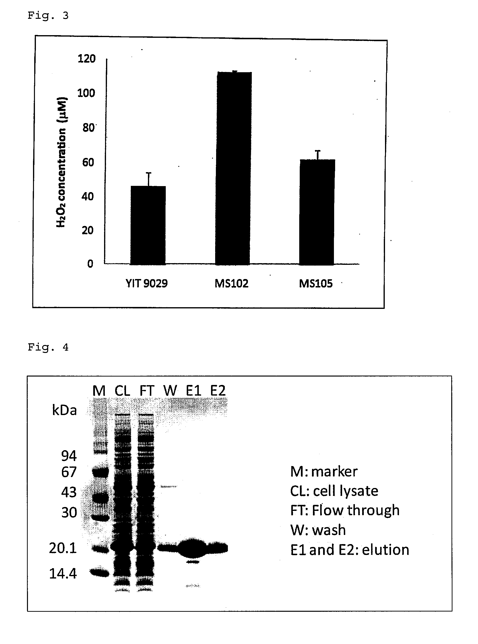 Hydrogen peroxide resistance-imparting gene and method for using same