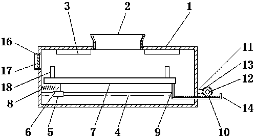 Food processing and drying apparatus