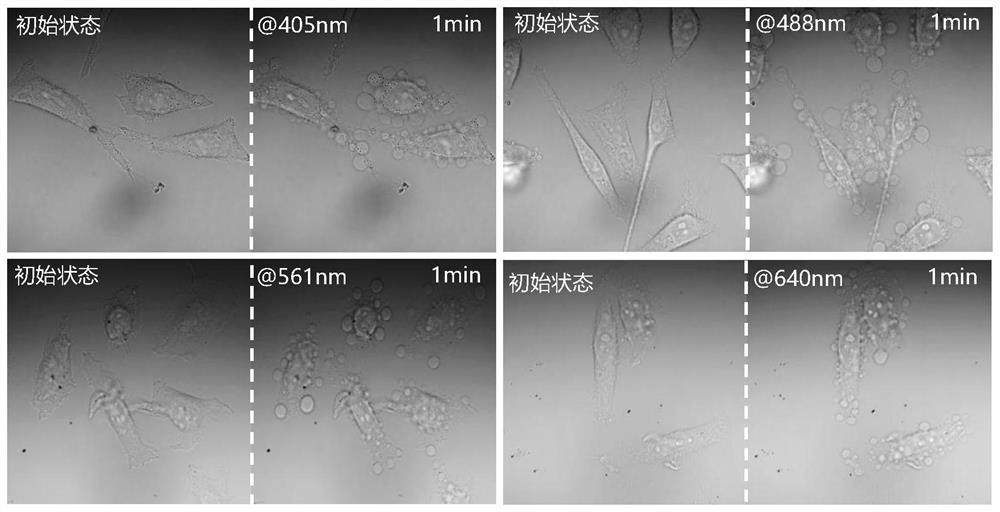 Porphyrin tetraazacyclo-based light-controlled pyroptosis material as well as preparation method and application thereof