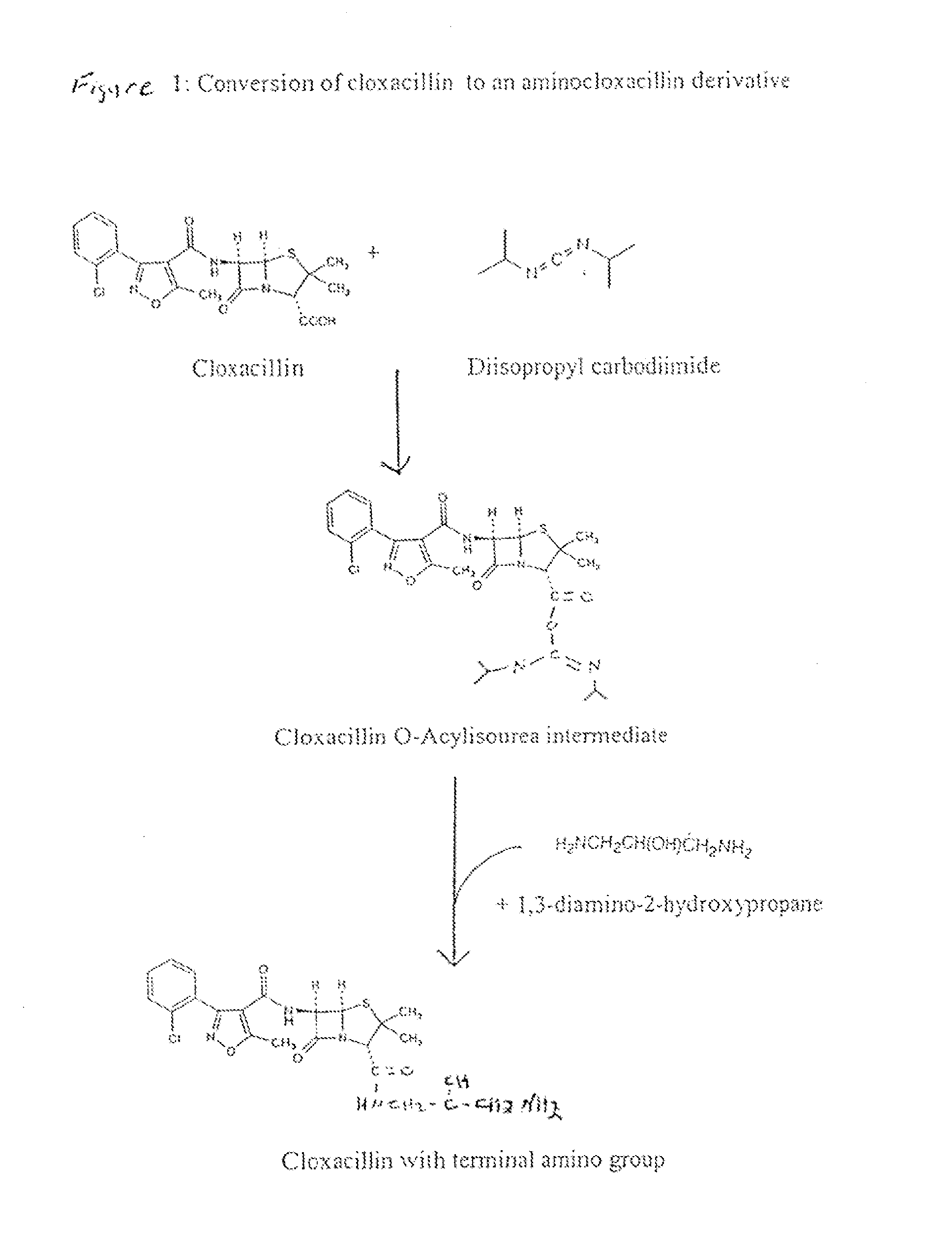 Method of Attaching a Ligand to a Test Strip