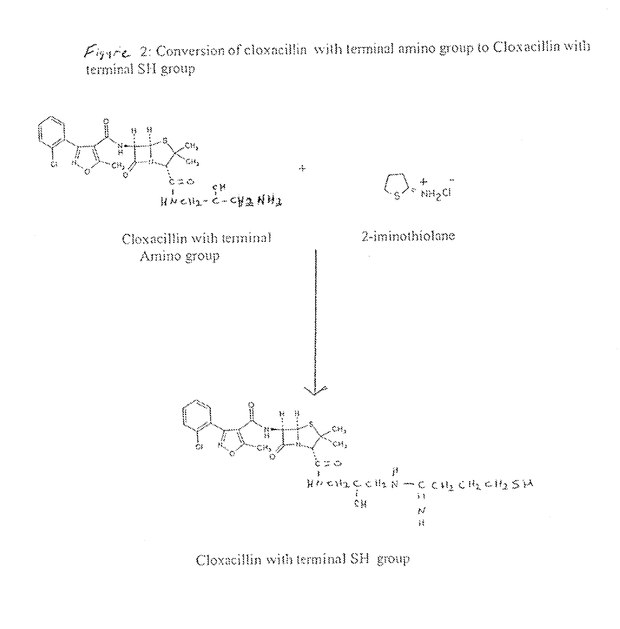 Method of Attaching a Ligand to a Test Strip