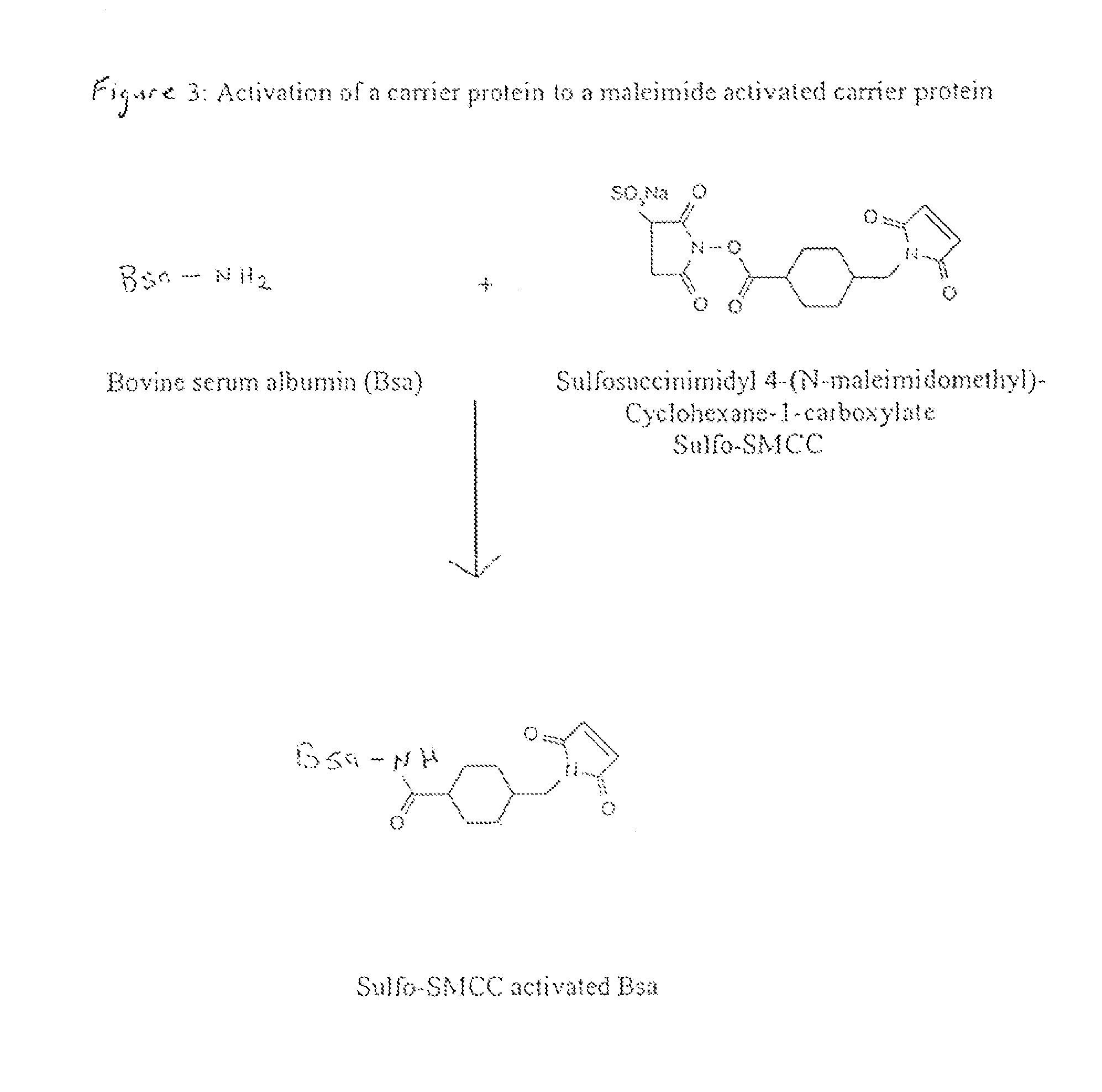 Method of Attaching a Ligand to a Test Strip