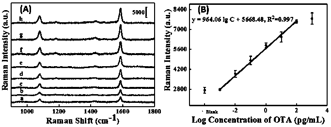 Method for detecting ochratoxin A based on SERS
