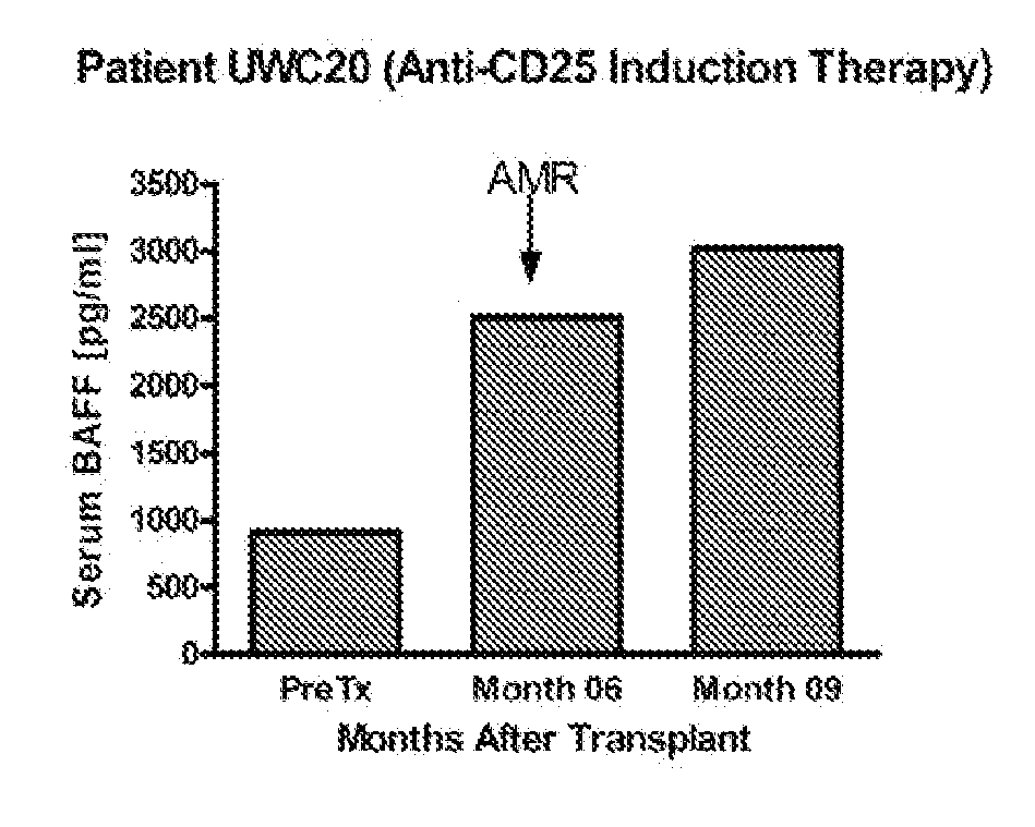 Detection of b-cell activating factor as a biomarker for antibody mediated rejection in transplant recipients