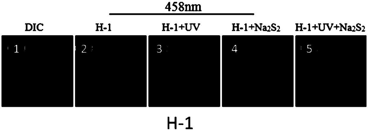 A fluorescent probe for accurately detecting H2S2 in mitochondria through light regulation, its preparation method and application