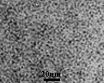 Photoelectric immunosensor based on water-soluble Zn-Mg-Te quantum dot/titanium dioxide nanorod composite material