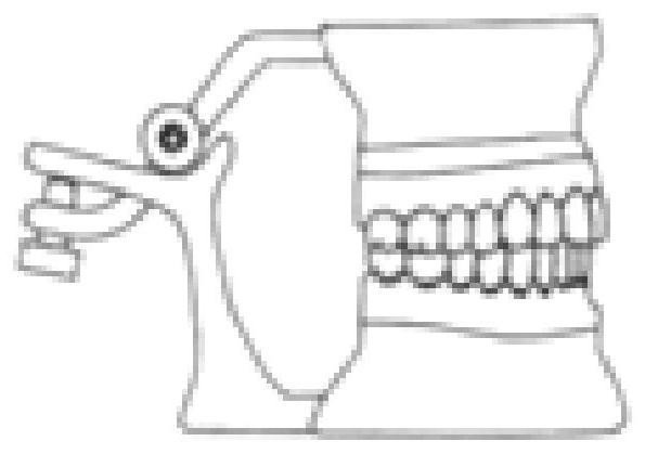 Articulator and use method