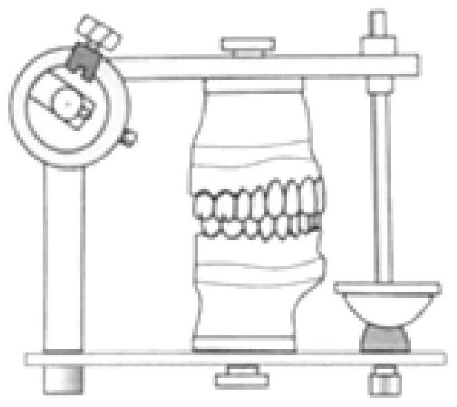 Articulator and use method