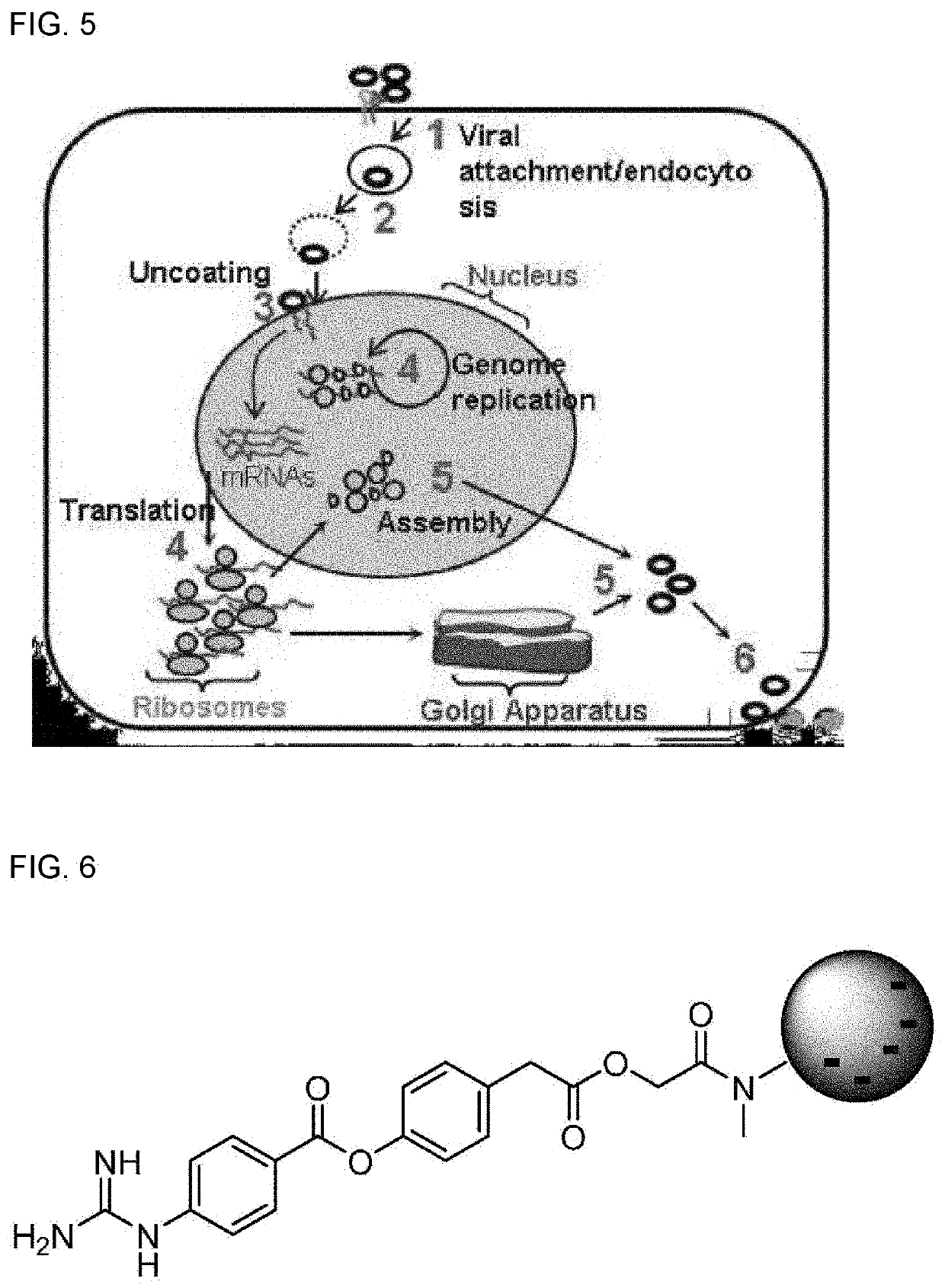 Method for preventing or treating infection of respiratory virus utilizing gold nanoparticles