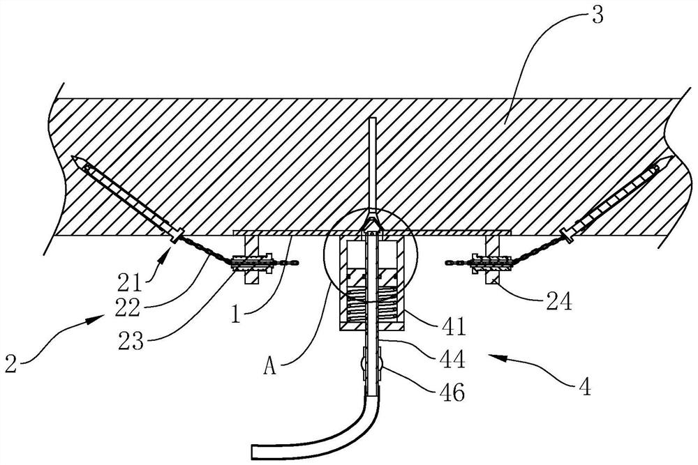 An ant tunnel irrigation device and method
