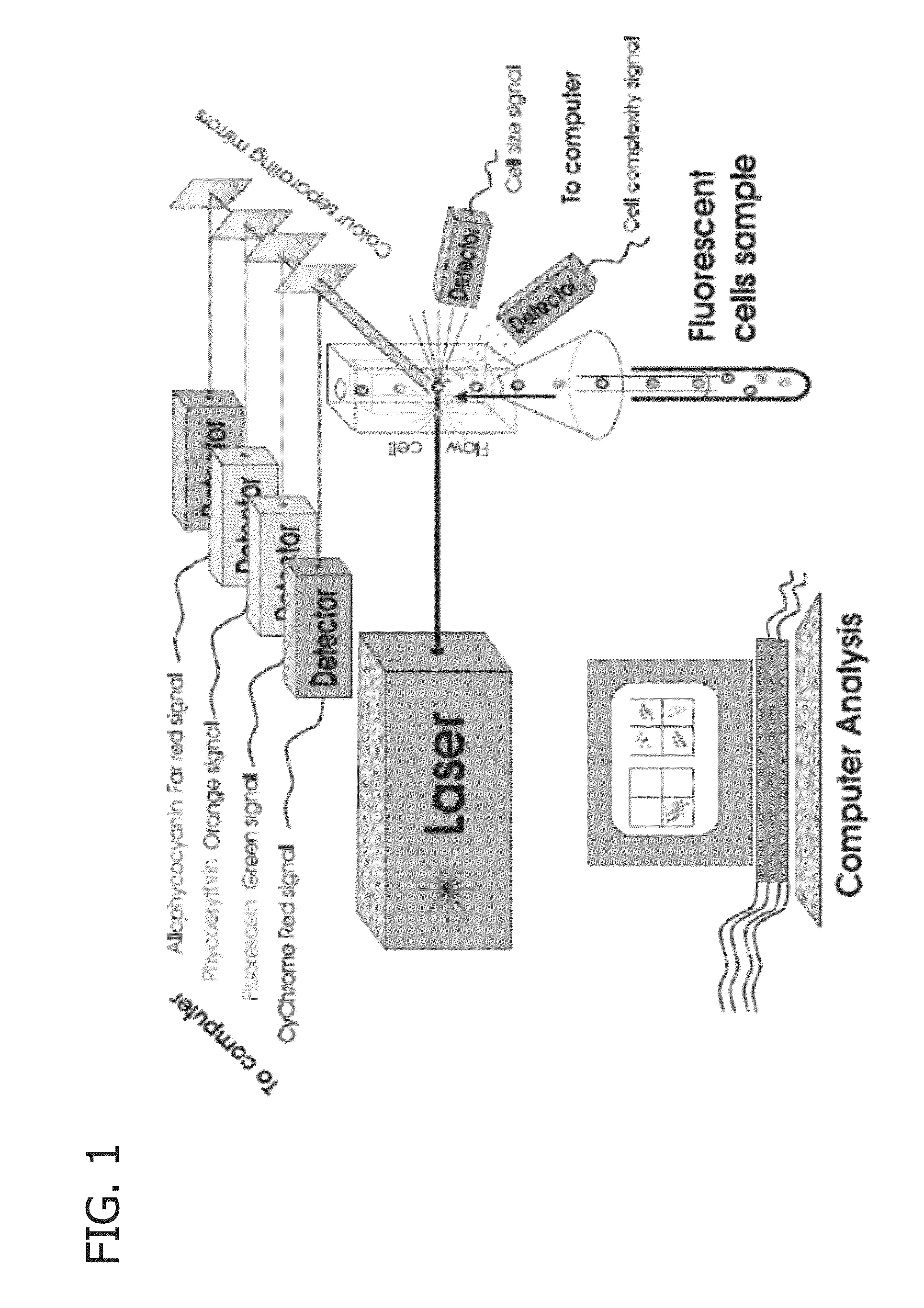 Methods of determining biocide efficacy or mechanism of action using flow cytometry