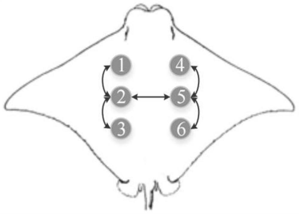 Manta ray imitating aircraft course control method based on flapping wing amplitude