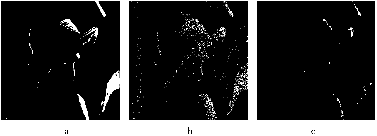A similar block accumulation image denoising method and system based on Bayesian tensor decomposition