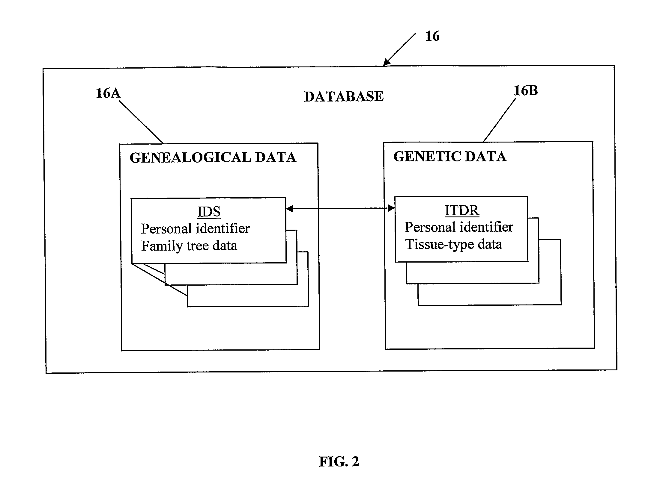 Method and system for matching between a tissue donor and a tissue recipient
