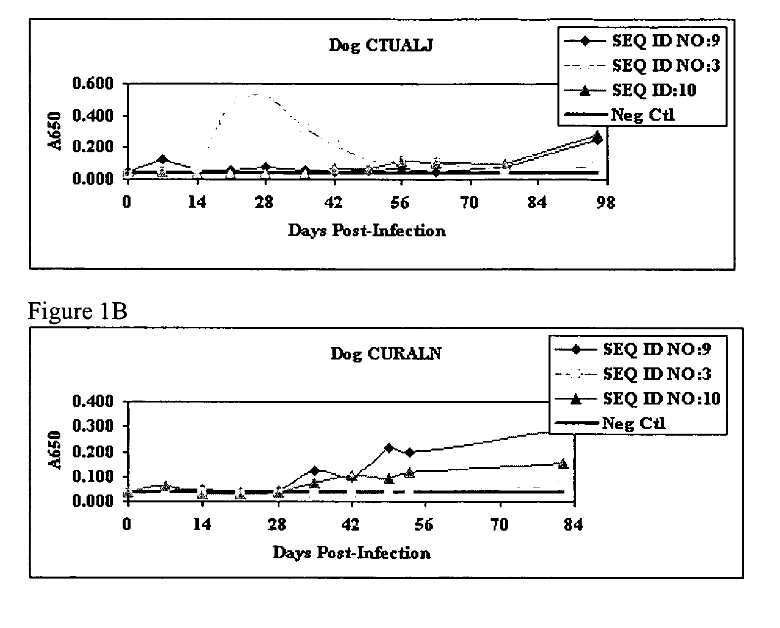 Compositions and methods for detection of Ehrlichia canis and Ehrlichia chaffeensis antibodies