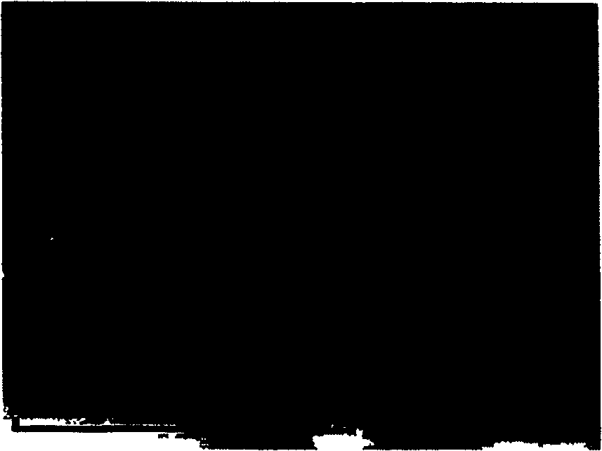 Preparation method of reflection circularly polarized light polaroid