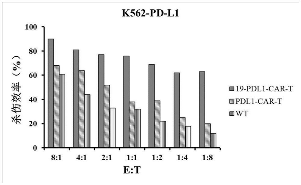 CD19 and PD-L1 double-target chimeric antigen receptor and application thereof