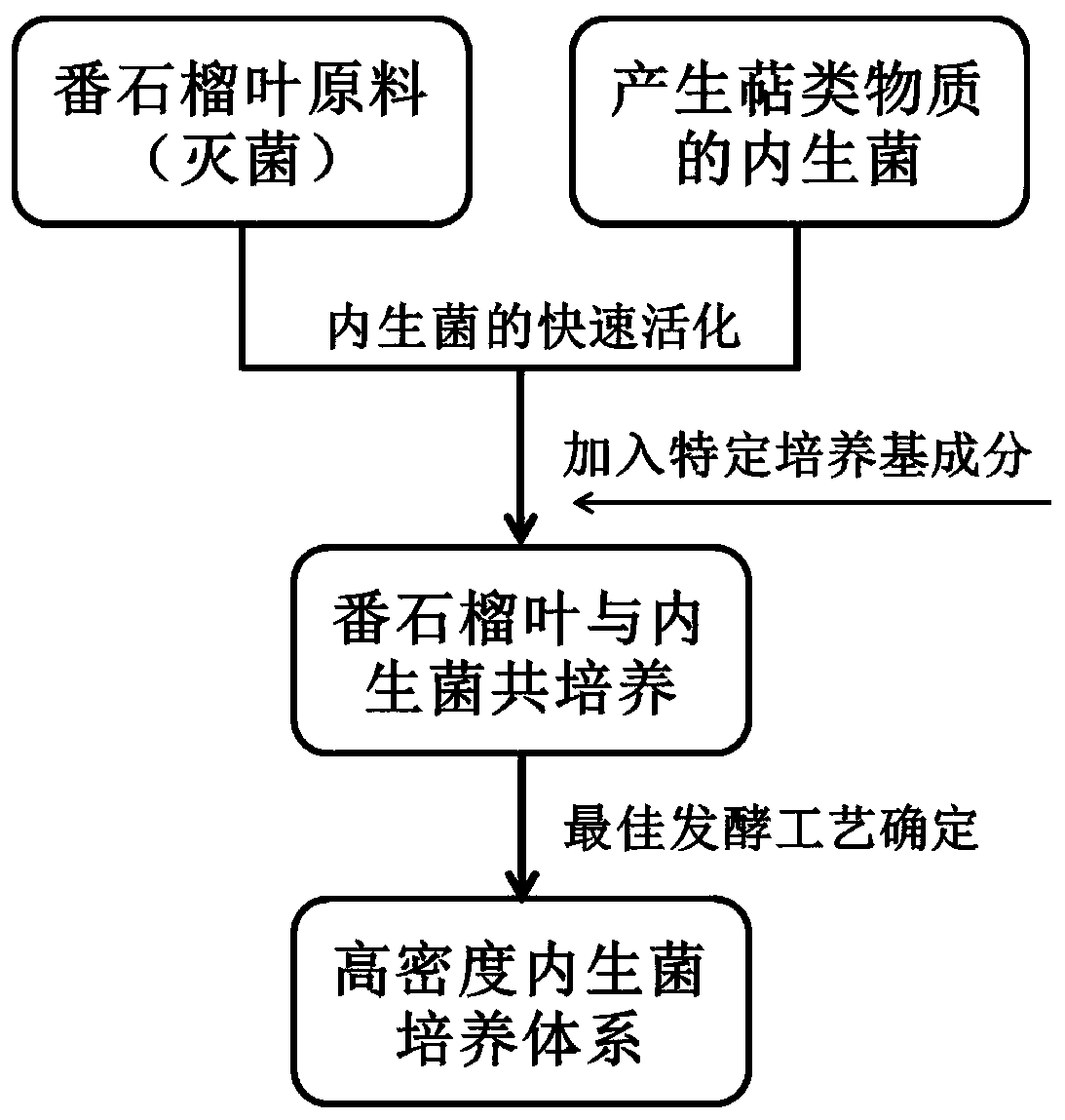 A kind of method for high-density cultivation of guava leaf endophyte