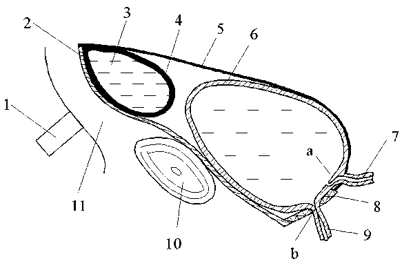 Ultrasonic vaporized steam driven urination boosting system