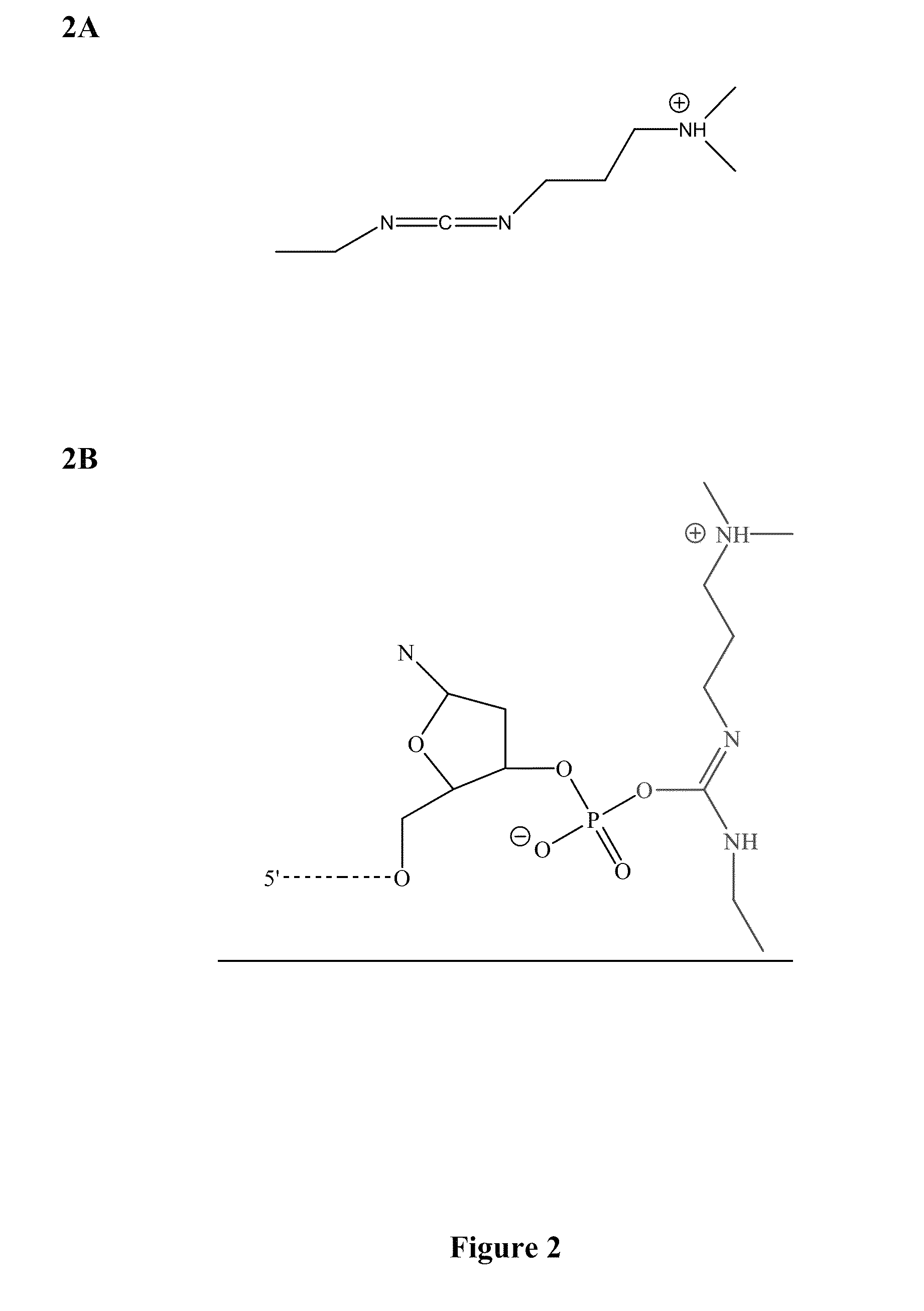 Methods and compounds for chemical ligation