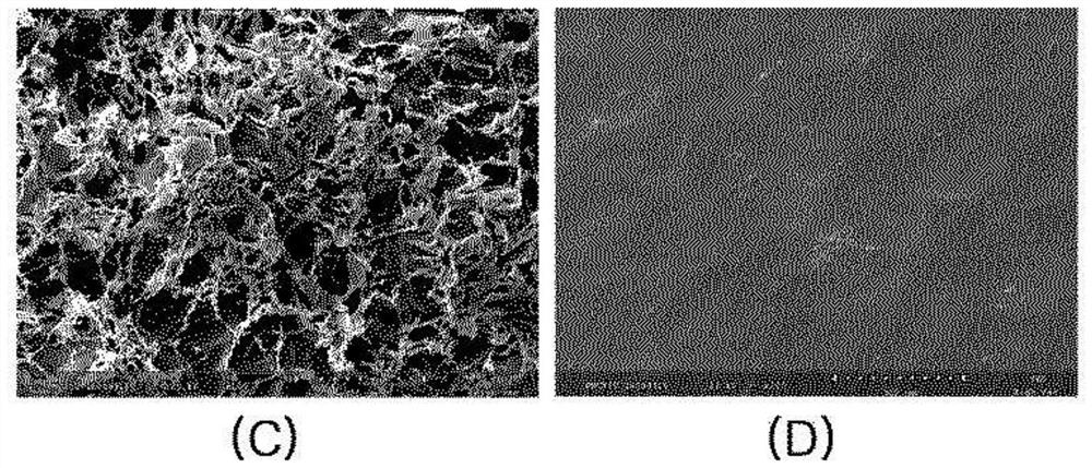 Method for producing porous hydrogel sheet and porous hydrogel sheet produced by the same