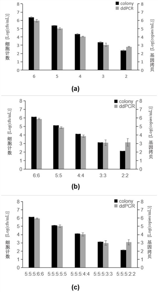 A rapid and simultaneous method for the detection of Escherichia coli O157:H7 and Salmonella typhimurium in food