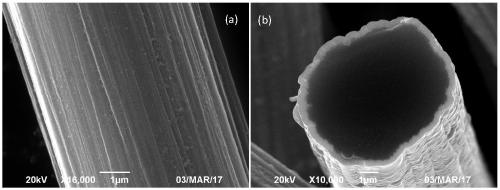 Composite coated fiber with electromagnetic shielding function and preparation method thereof