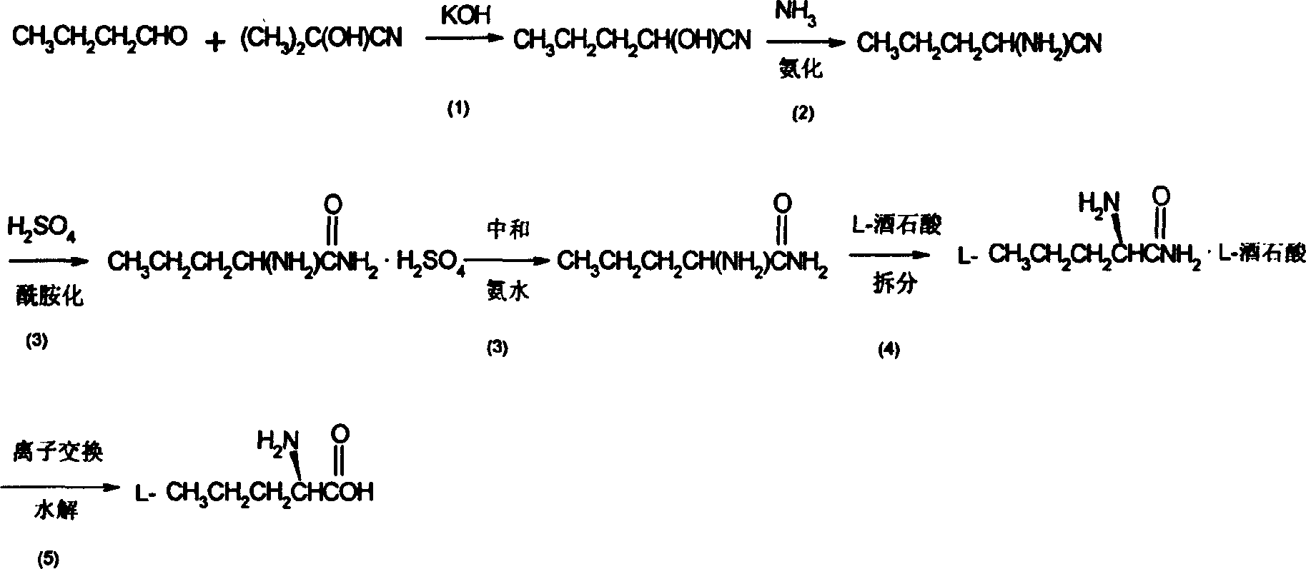 Synthesis method of L-n-valaine
