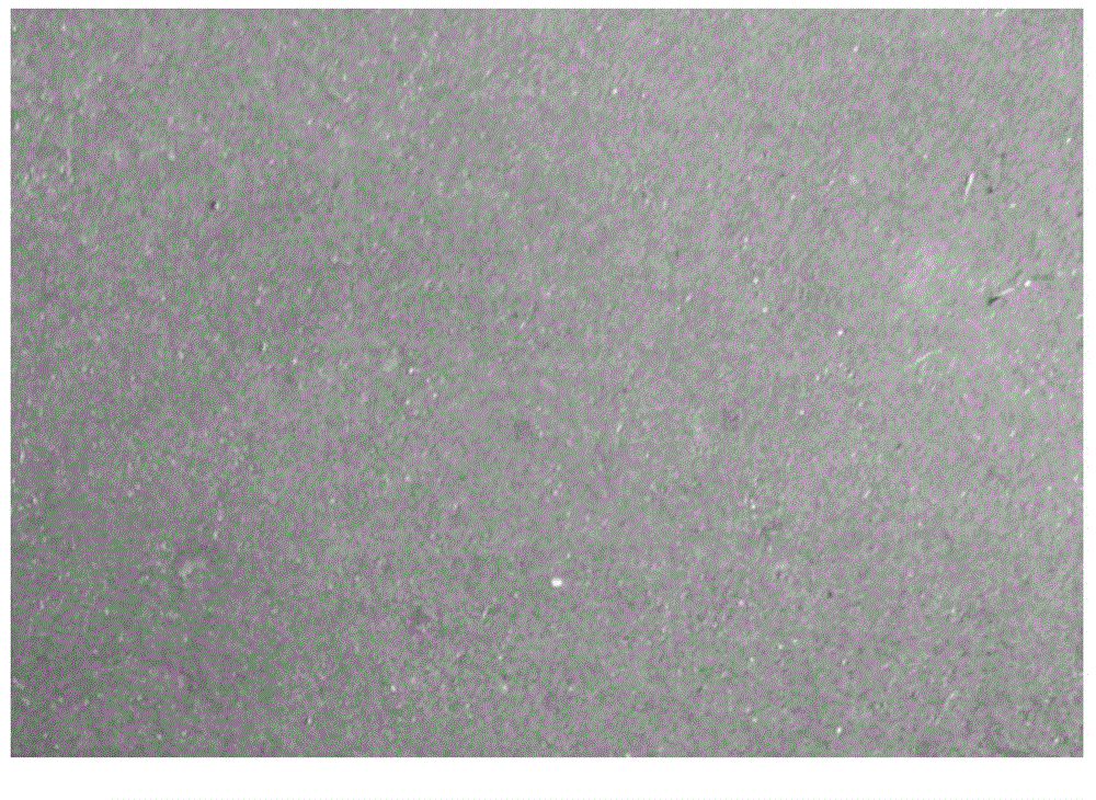 Water-based high temperature resistant protective coating and its application and production method of titanium ingot