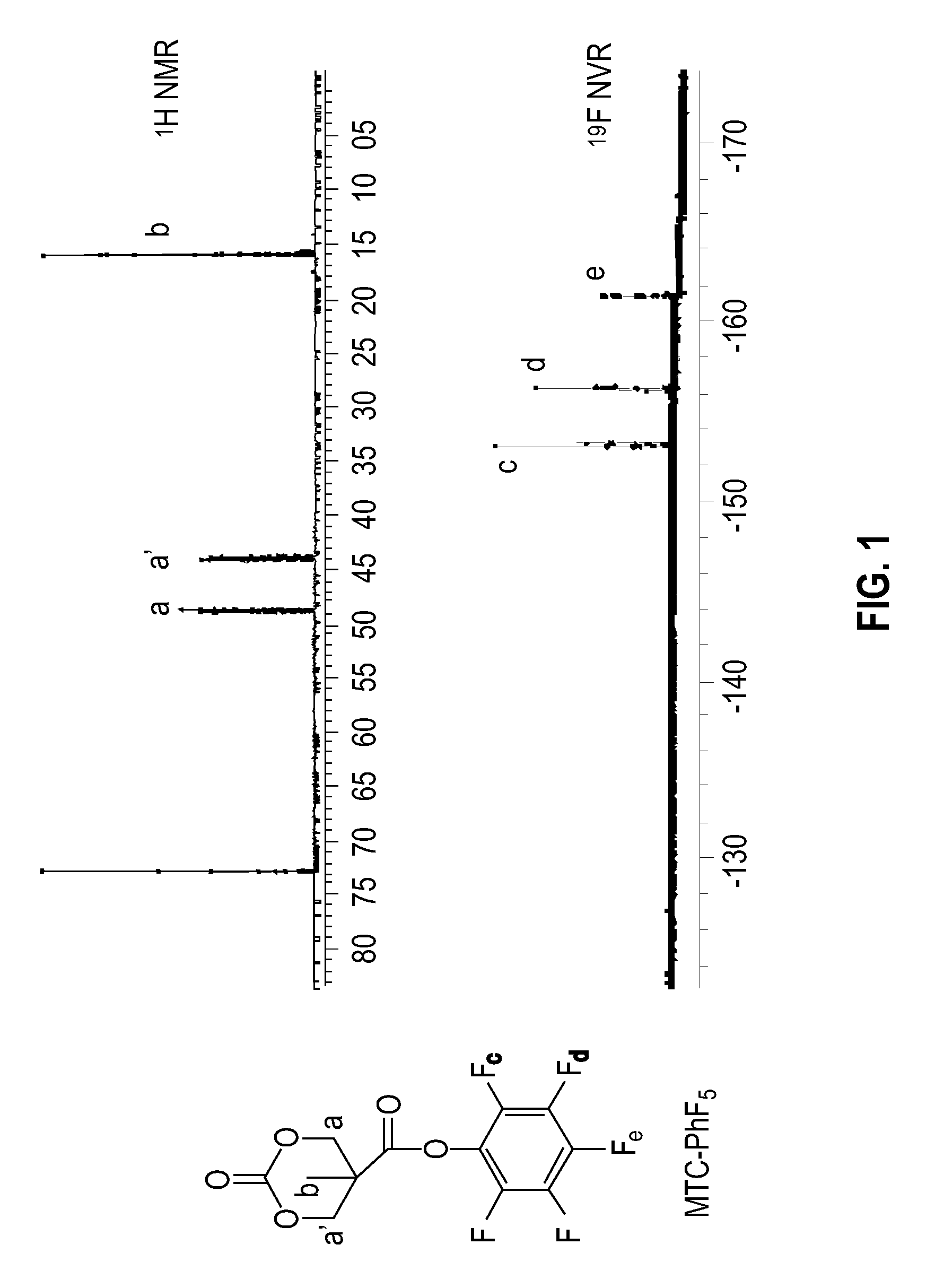 Polymers bearing pendant pentafluorophenyl ester groups, and methods of synthesis and functionalization thereof