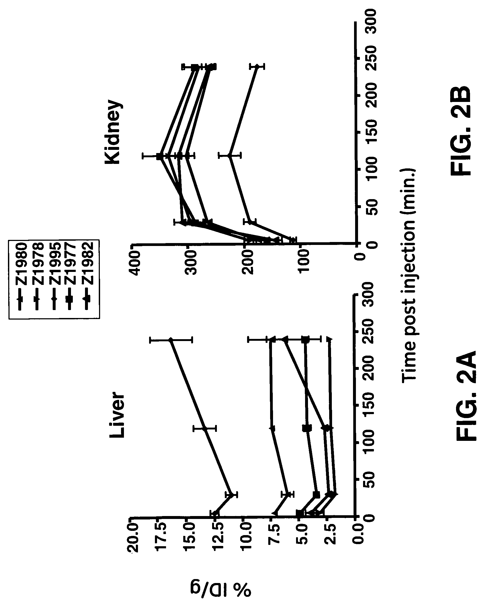 Biokinetics of fast-clearing polypeptides