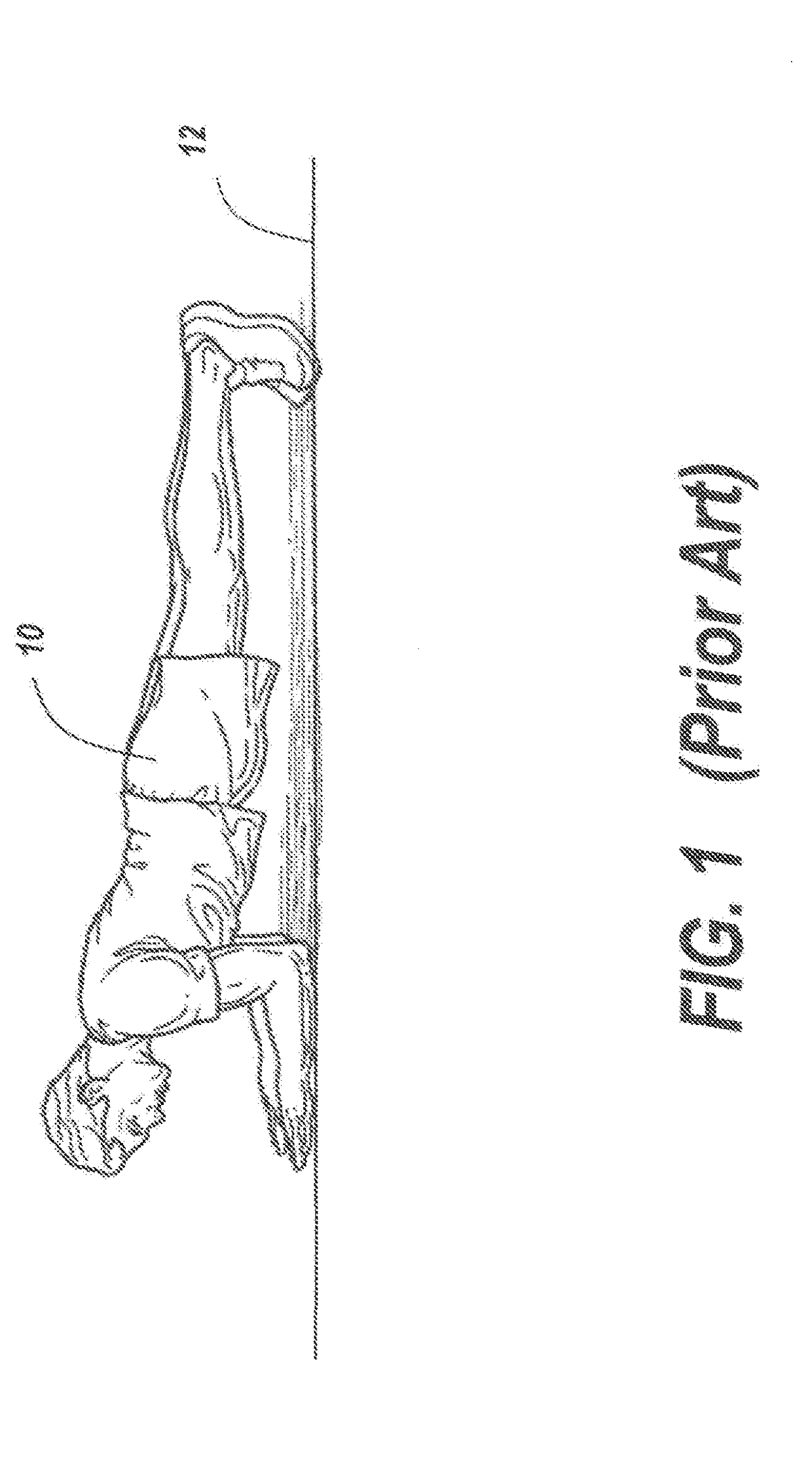 Plank Support Exercise Apparatus and Related Methods