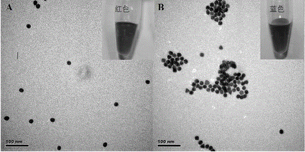 A visual rapid detection method for copper ions