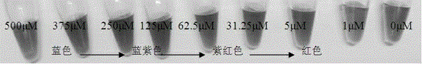 A visual rapid detection method for copper ions