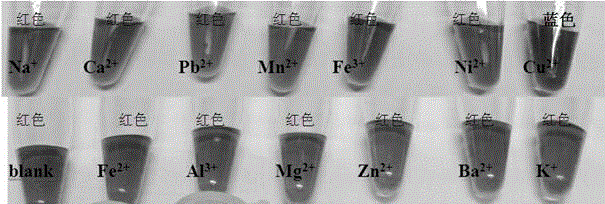 A visual rapid detection method for copper ions