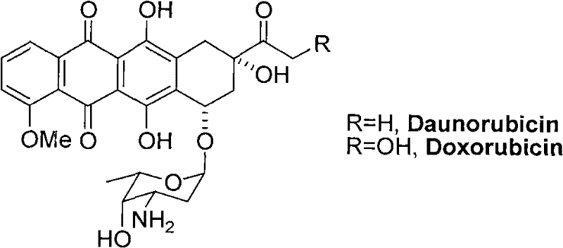 New 3'-azido daunorubicin-13-thiosemicarbazone compound with cancer resistance and preparation method thereof