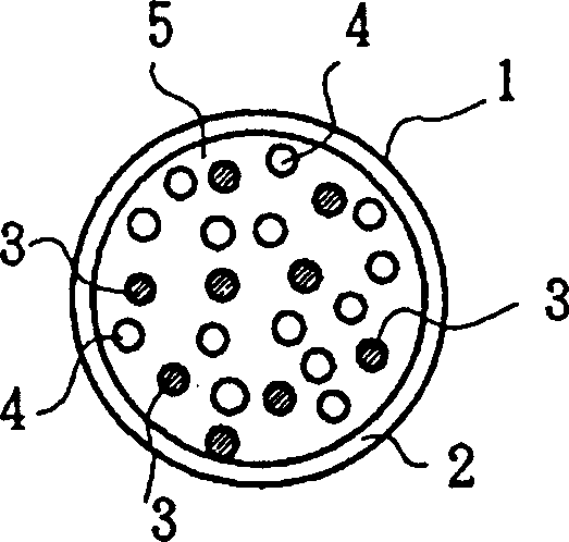 Thin microcapsule magnetic flowing display panel and its using method