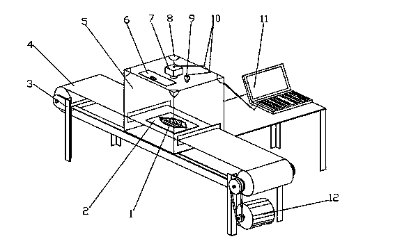 Flue-cured tobacco appearance information collecting device
