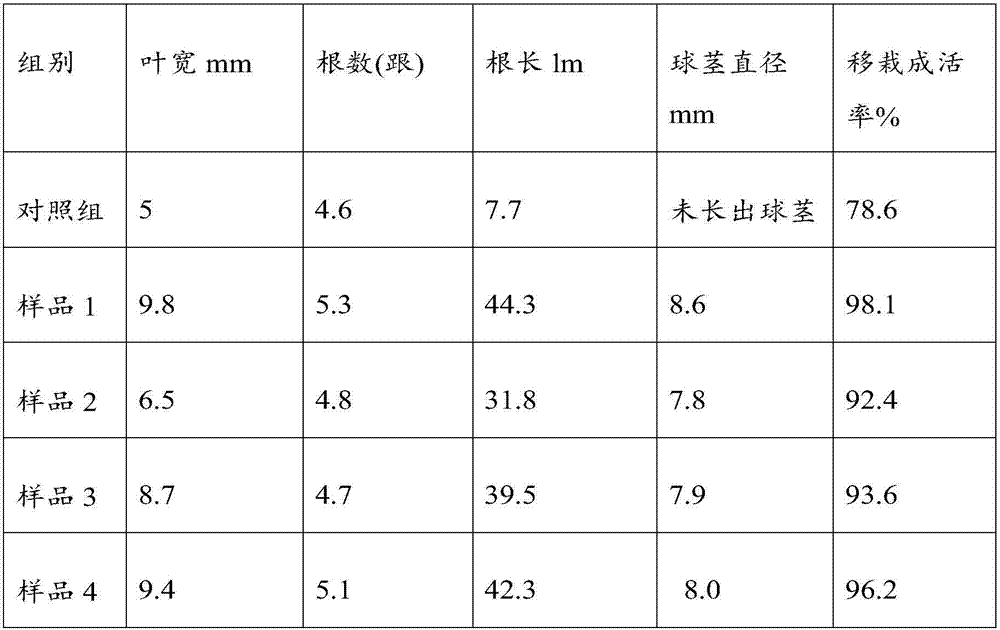 A kind of culture medium for bletilla striata tissue culture