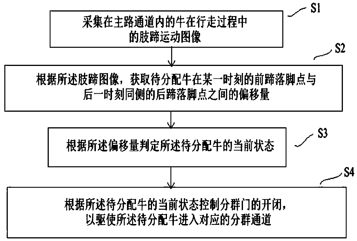 Lame cattle identification and automatic grouping method and system