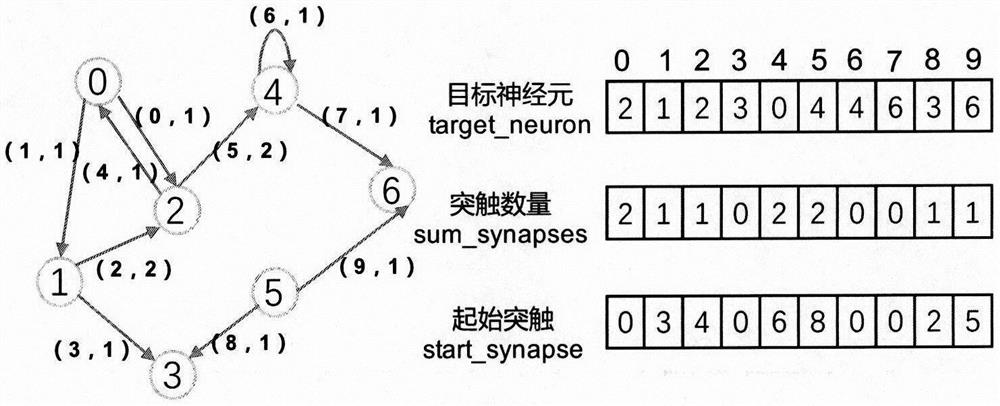 Pulse neural network simulation strategy based on GPU